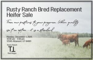 Rusty Ranch heifer sale advertisement